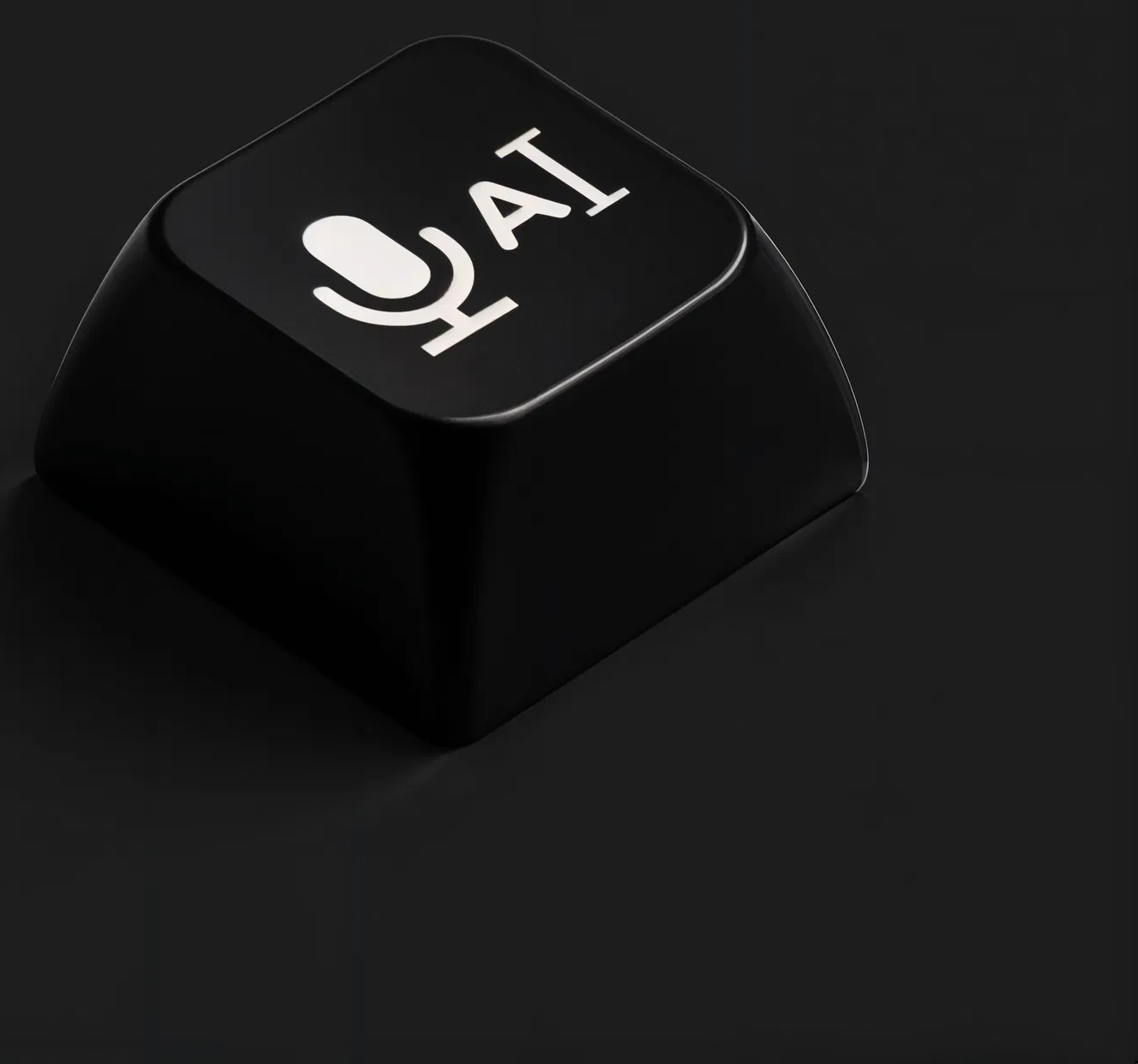 SpeechButton 3D key