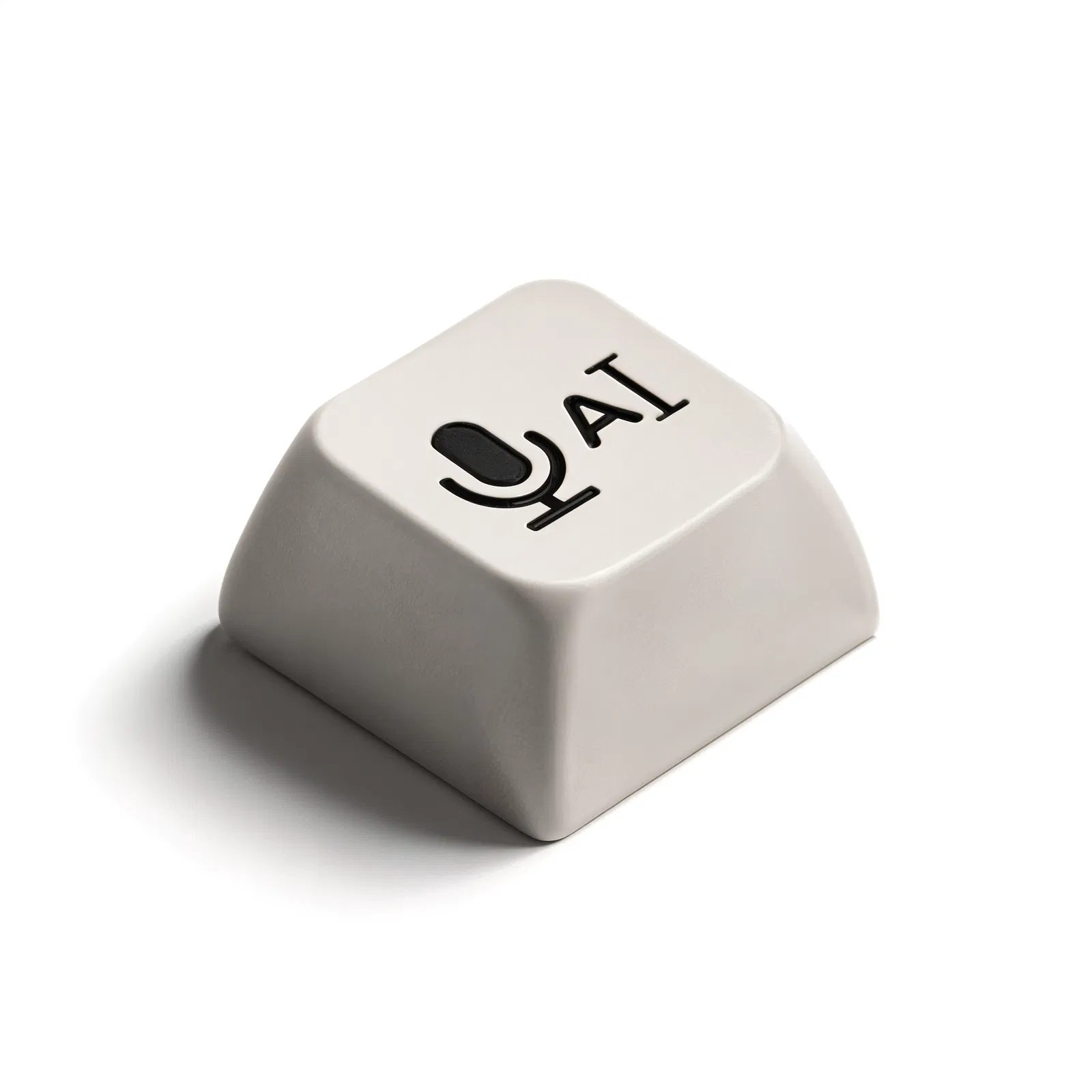 SpeechButton 3D key